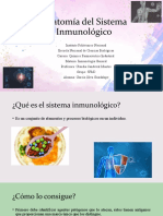 Anatomía Del Sistema Inmunológico - Seminario