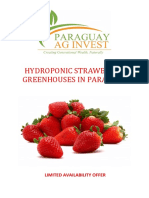 ParaguayAgInvest Hydroponic Strawberries v1 - 1