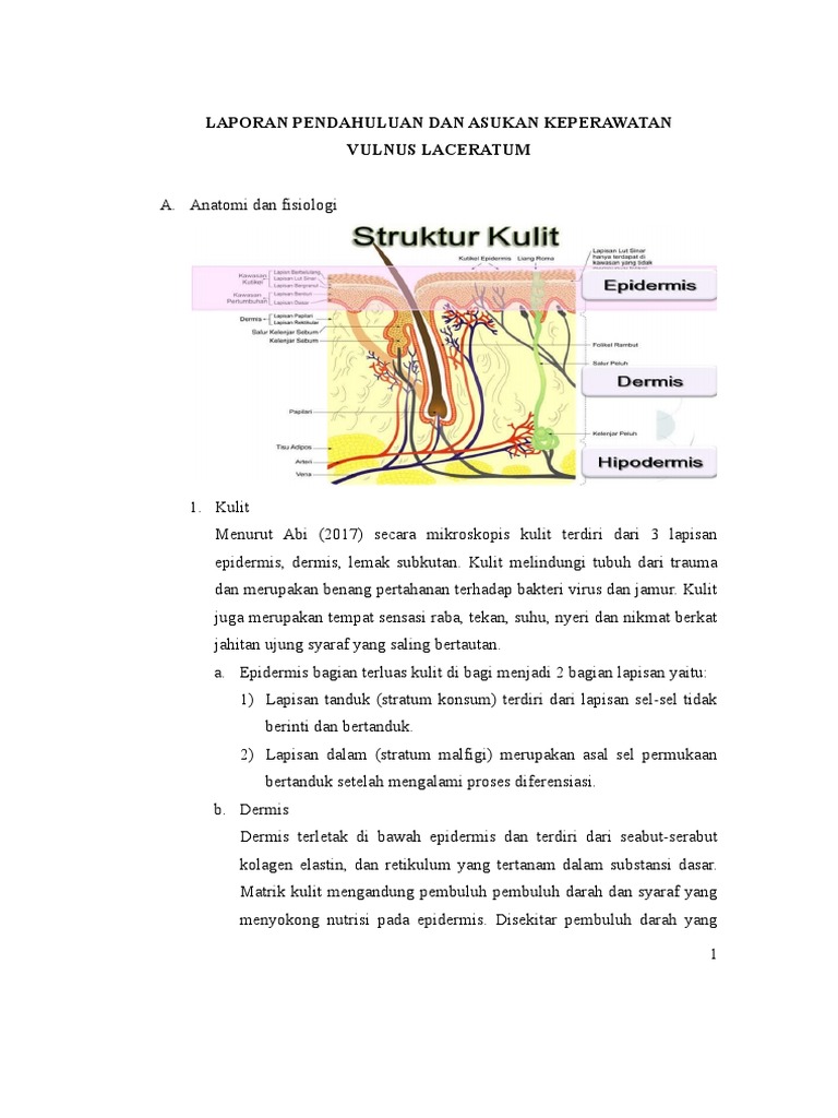 Vulnus laceratum pdf