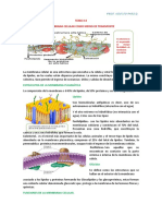 95.-2022 - 5to.b. T-8 Membrana Celular