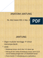 Anatomi Jantung