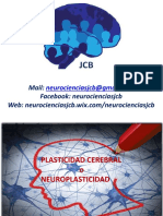 Neuroplasticidad