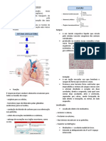Sistema Circulatório