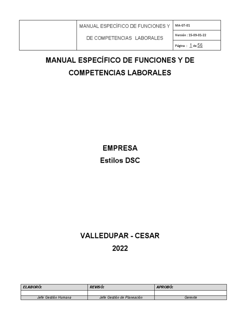 Manual Específico de Funciones Plantilla | PDF | Planificación | Business