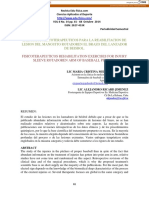 Ejercicios Fisicoterapeuticos para La Reabilitacion de Lesion Del Manguito Rotadoren El Brazo Del Lanzador de Beisbol