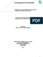 Optimización Red de Distribución Aracataca