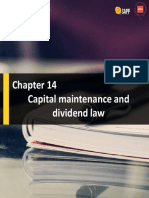 Chapter 14 - Capital Maintenance and Dividend Law