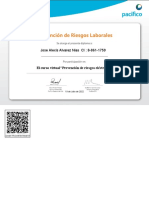 Prevencion de Riesgos Electricos Ver Certificado 32217 PDF
