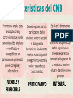 Caracteristicas Del CNB