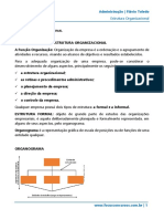 Estrutura Organizacional: conceitos e tipos em