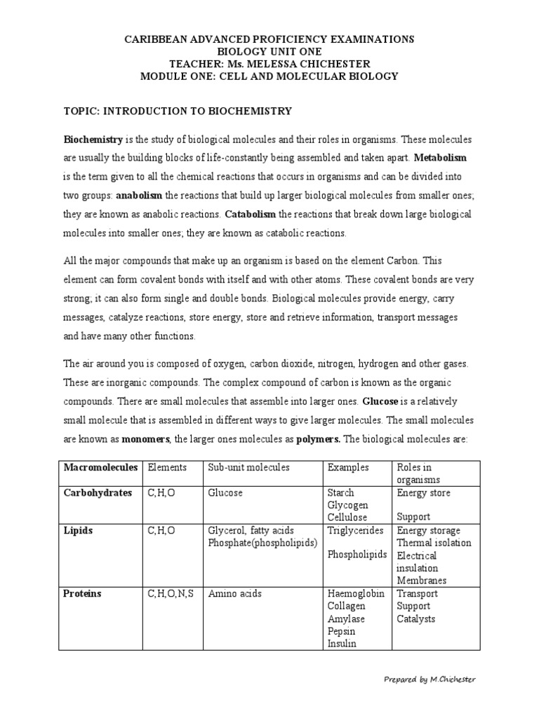 Cape Water Handout PDF Molecules Water
