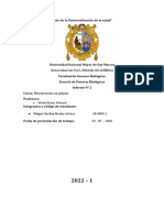 Informe N°2