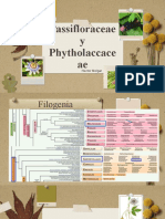 Familias Passifloraceae y Phytholaccaceae