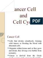 Cancer Cell and Cell Cycle