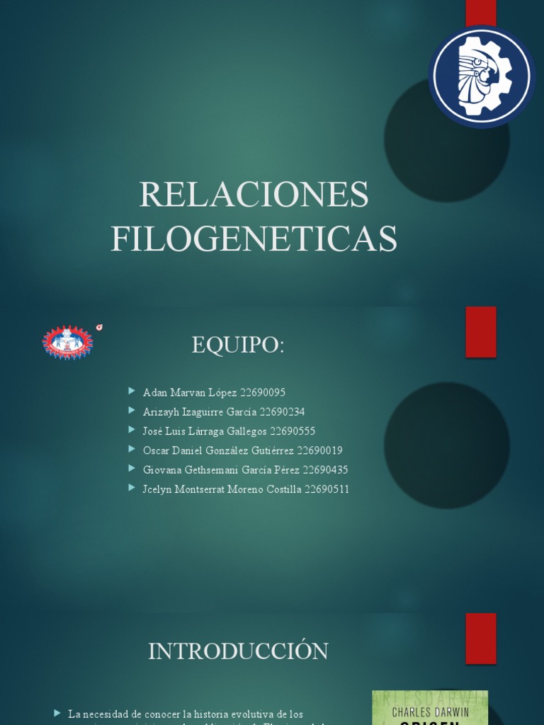 Relaciones Filogeneticas | PDF | Filogenética | Biología