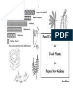 Food Composition PNG Plants