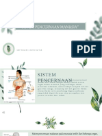 Presentasi Sistem Pencernaan Manusia Ipa