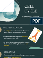 Cell Cycle New