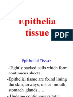 Epithelia Tissue 1