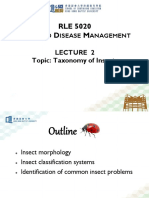 Lecture 2 Taxonomy of Insects