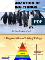 Organizatio of Living Things