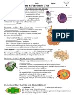 Notes - Structure Function of Cells Se