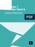 Xtabaa-Piel-De-Tierra - Hùbert Matiùwá