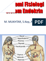 Anfis Endokrin