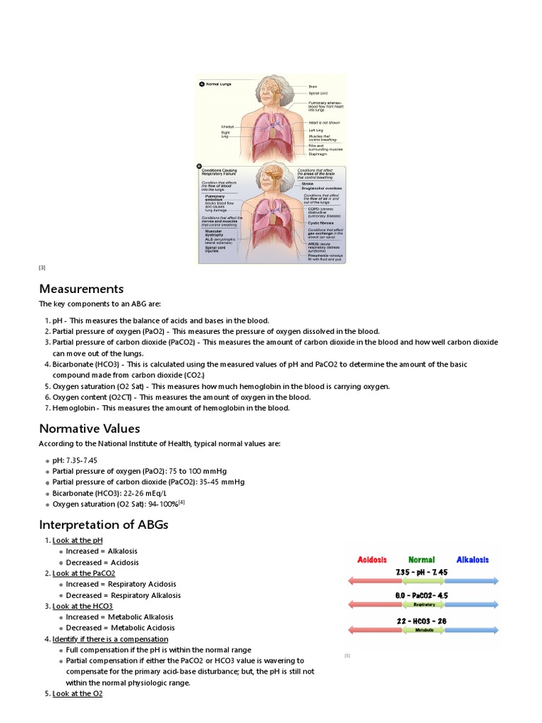 Arterial Blood Gases Physiopedia PDF Metabolism Respiration