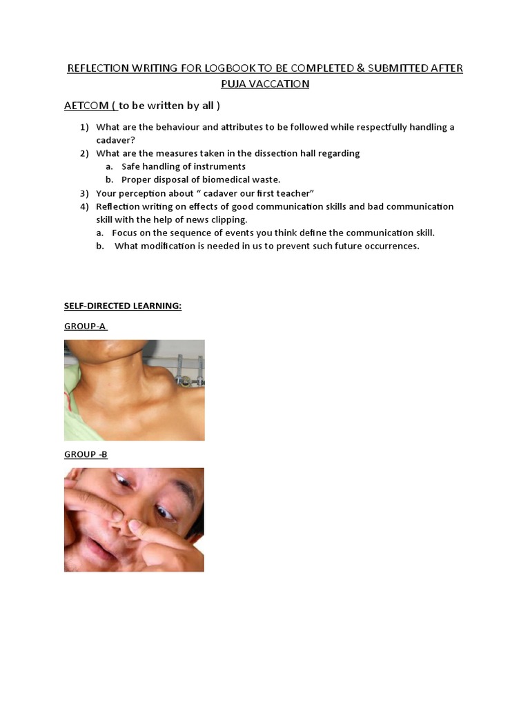 Anatomy Logbook Reflection Guidelines | PDF | Hand | Anatomical Terms ...