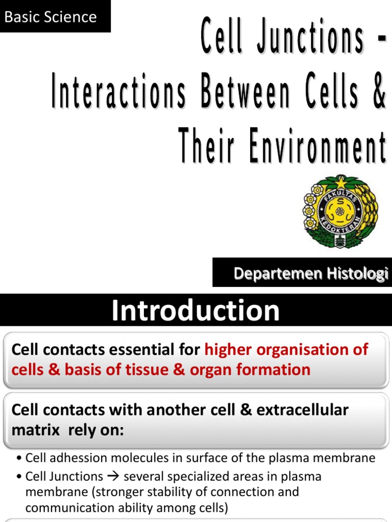 BBS1 HS K4 Cell Junction Intercellular Communication | PDF | Cell ...