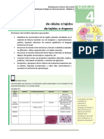 Modulo 4 - Material de Trabajo Presencial - 1er Cuat 2022