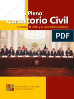 Décimo Pleno Casatorio Civil