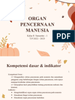 Organ Pencernaan Manusia