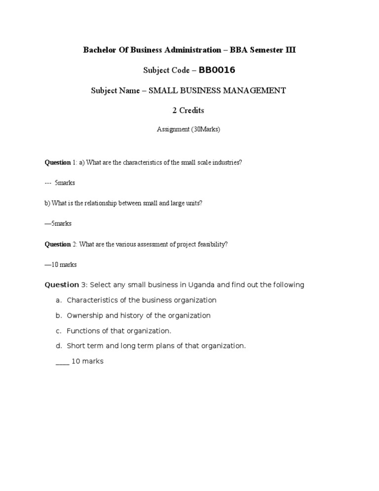 Small Business Management BBA Assignment | PDF