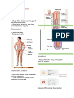 Anatomy and Physiology Pre Lim Reviewer