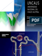 Terapéutica y farmacología renal