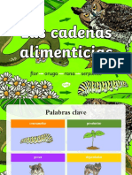 Sa Cn 88 Powerpoint Las Cadenas Alimenticias Ver 1