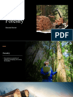 Forestry Project