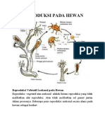 Reproduksi Pada Hewan