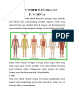 Organ Tubuh Manusia Dan Fungsinya