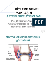 Prof. Dr. Şebnem AtamanARTRİTLERE GENEL YAKLAŞIM Dönem V Dersi-Özet Sunum2-2019-2020