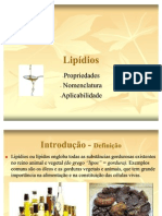 57008-Lipidios_atual