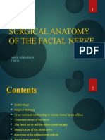 Surgical Anatomy of The Facial Nerve