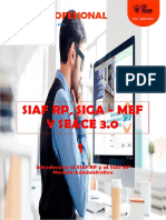 Siaf Rp, Siga-mef y Seace 3.0