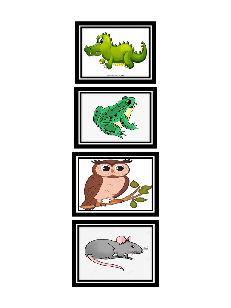 Animals year 2 pdf