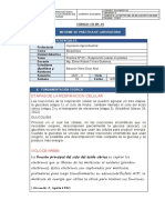 INFORME DE PRÁCTICA DE LABORATORIO - Respiración Celular 02