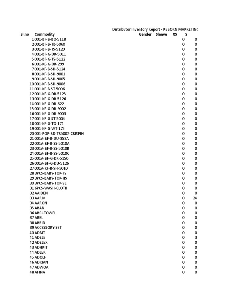 REBORN MARKETING Inventory Overview | PDF