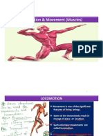 Locomotion & Movement (Muscles)
