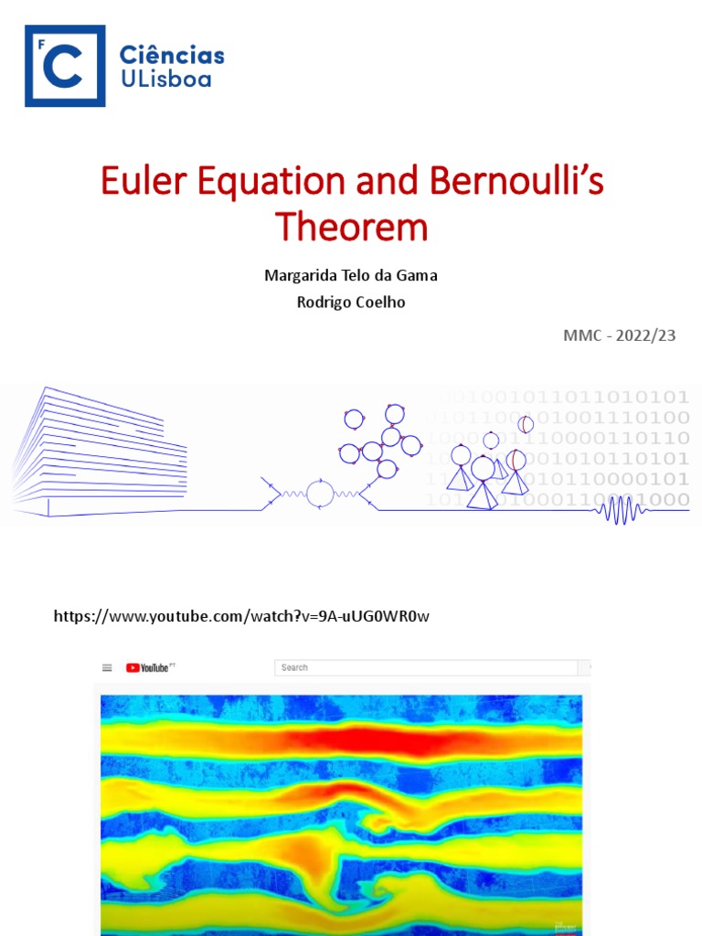 3Euler Equation and Bernoulli's Theorem PDF Fluid Dynamics